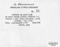 Image Associated With the Occurence